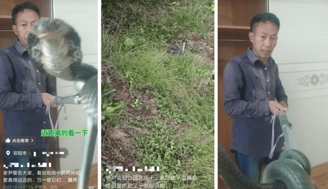 60岁网红被毒蛇咬伤后失联“因嫌贵未打血清”救援者称人未找到